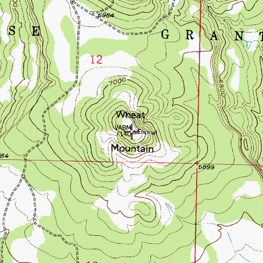 Topographic Map of Wheat Mountain, NM