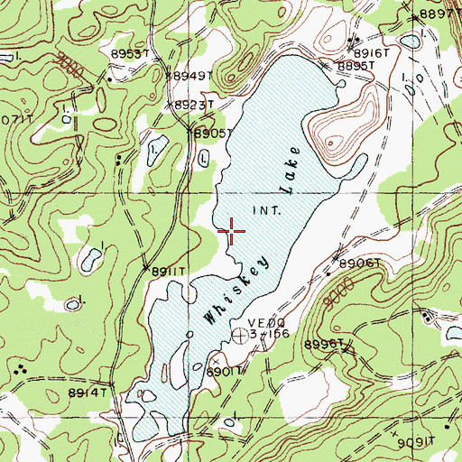 Topographic Map of Whiskey Lake, NM