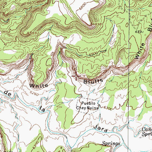Topographic Map of White Bluffs, NM