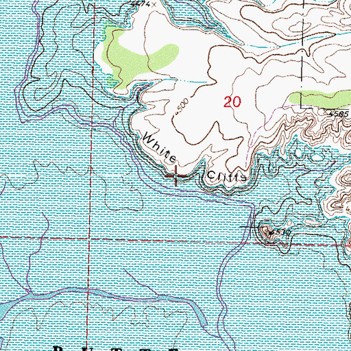 Topographic Map of White Cliffs, NM