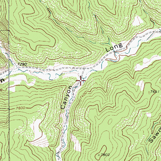 Topographic Map of White Horse Canyon, NM