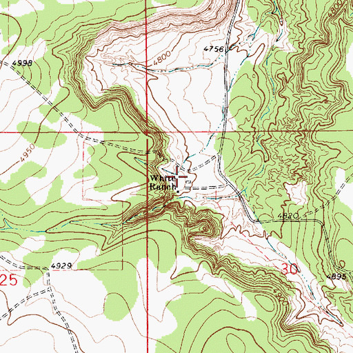 Topographic Map of White Ranch, NM