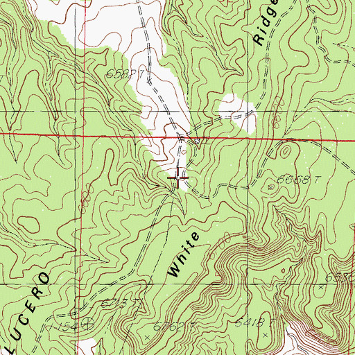 Topographic Map of White Ridge, NM
