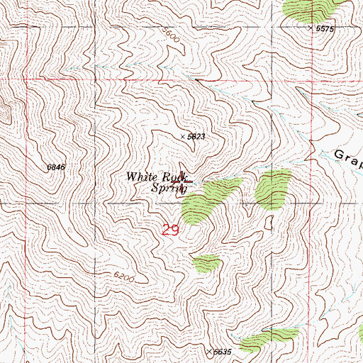 Topographic Map of White Rock Spring, NM