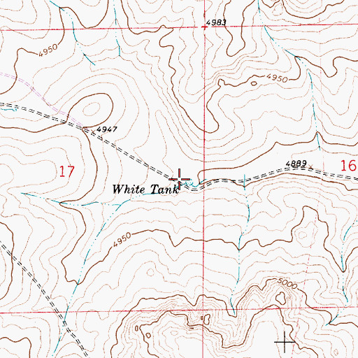 Topographic Map of White Tank, NM