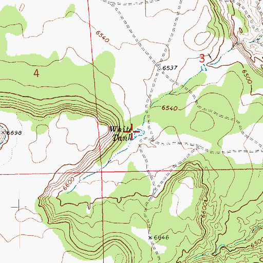Topographic Map of White Tank, NM