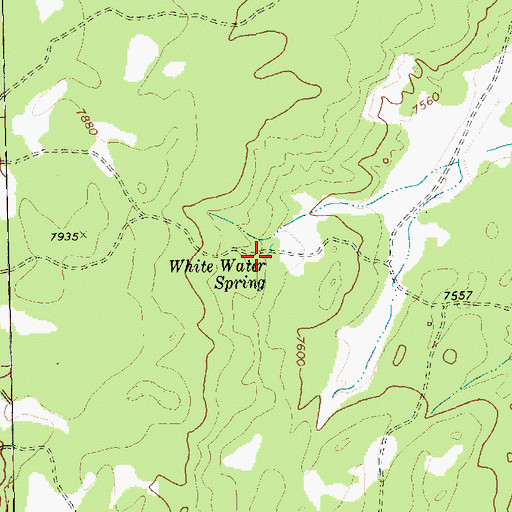 Topographic Map of White Water Spring, NM