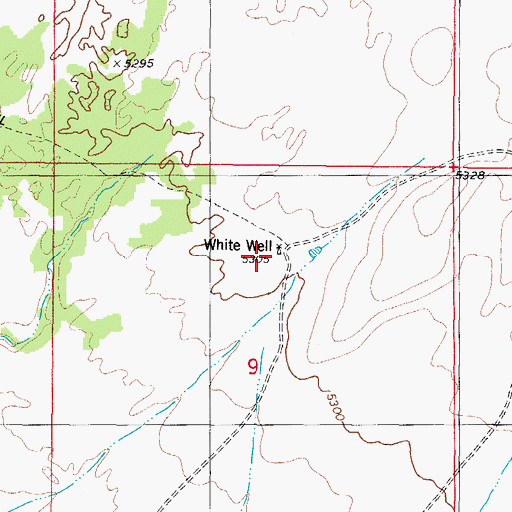 Topographic Map of White Well, NM