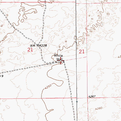 Topographic Map of White Well, NM