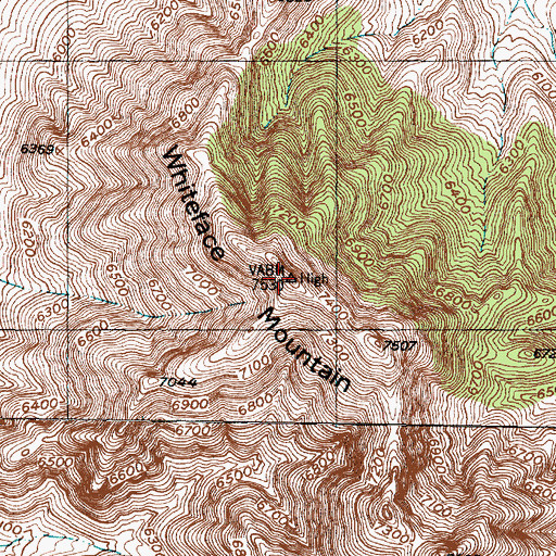 Topographic Map of Whiteface Mountain, NM
