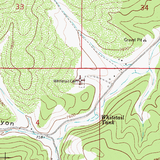 Topographic Map of Whitetail Cemetery, NM