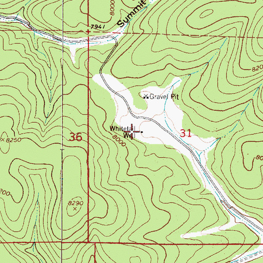 Topographic Map of Whitetail Well, NM