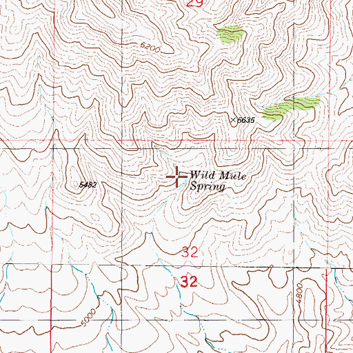 Topographic Map of Wild Mule Spring, NM