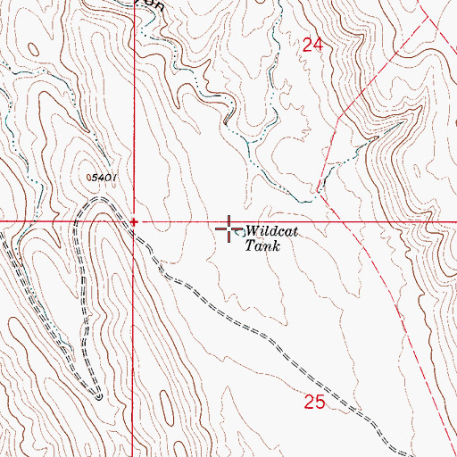 Topographic Map of Wildcat Tank, NM