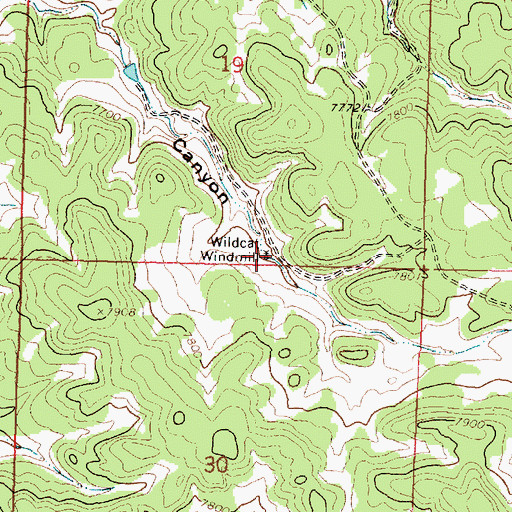 Topographic Map of Wildcat Windmill, NM