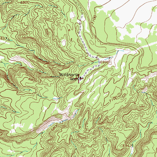 Topographic Map of Wildhorse Well, NM