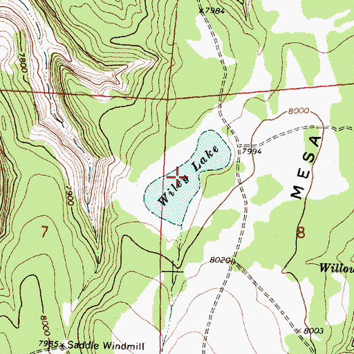 Topographic Map of Wiley Lake, NM