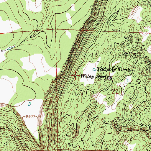 Topographic Map of Wiley Spring, NM
