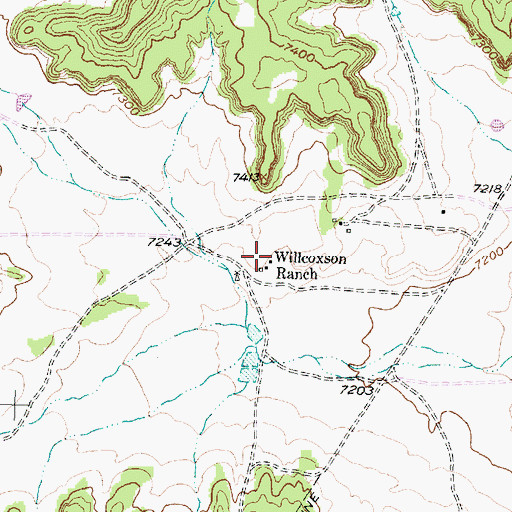 Topographic Map of Willcoxson Ranch, NM