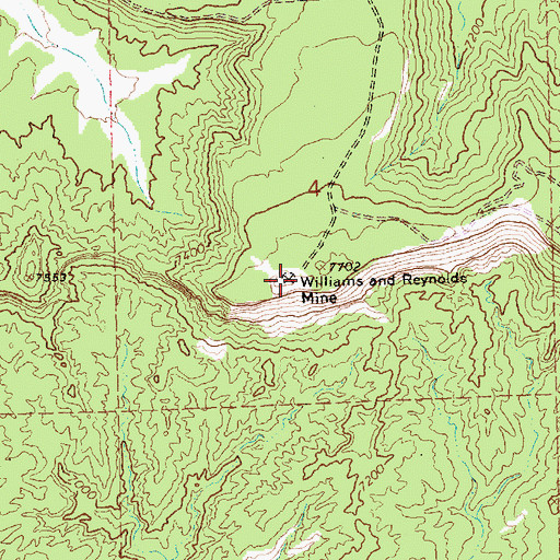Topographic Map of Williams and Reynolds Mine, NM