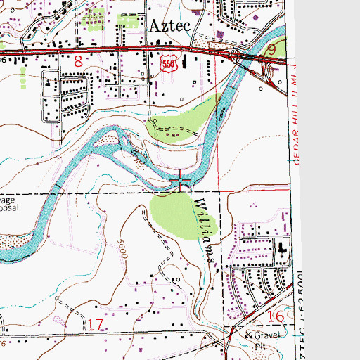 Topographic Map of Williams Arroyo, NM