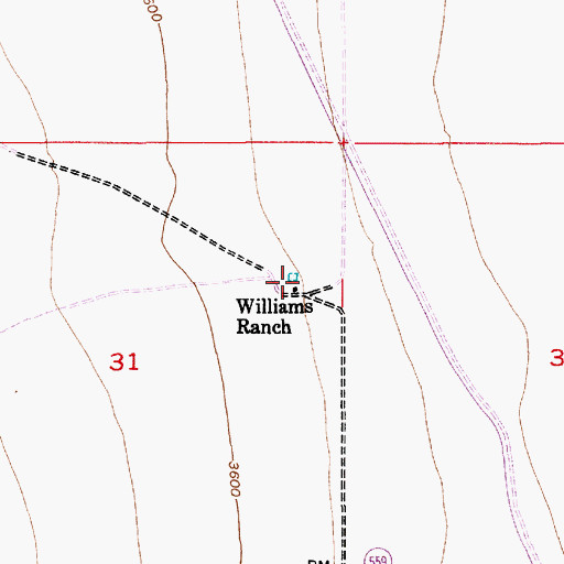 Topographic Map of Williams Ranch, NM