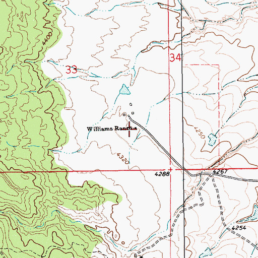 Topographic Map of Williams Ranch, NM