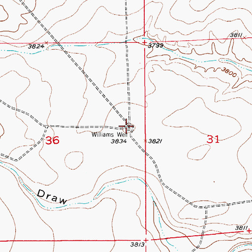Topographic Map of Williams Well, NM