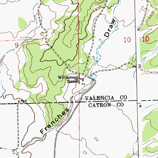 Topographic Map of Williamson Ranch, NM