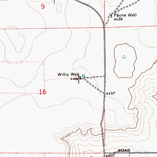 Topographic Map of Willis Well, NM