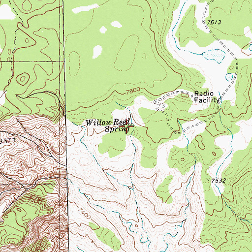 Topographic Map of Willow Reed Spring, NM
