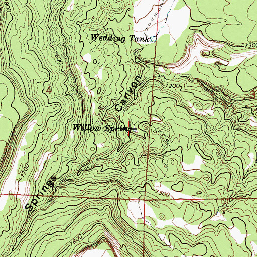 Topographic Map of Willow Spring, NM