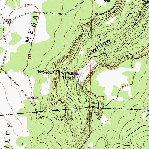 Topographic Map of Willow Springs Tank, NM