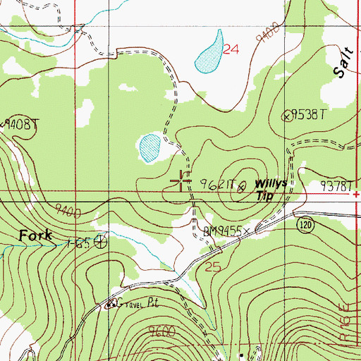 Topographic Map of Willys Tip, NM