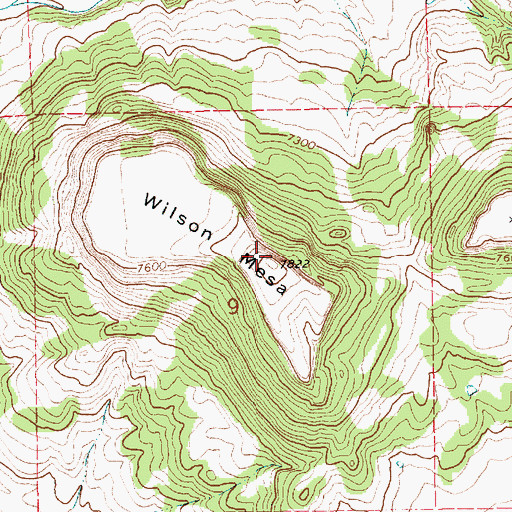 Topographic Map of Wilson Mesa, NM