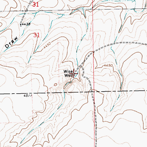 Topographic Map of Wise Well, NM