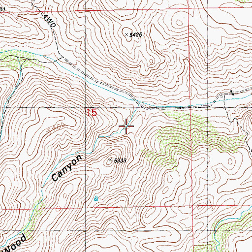 Topographic Map of Wood Canyon, NM