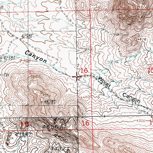 Topographic Map of Wood Canyon, NM