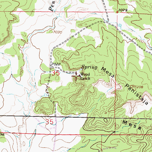 Topographic Map of Wood Ranch, NM