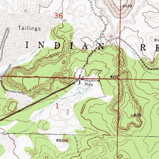 Topographic Map of Woodrow Mine, NM