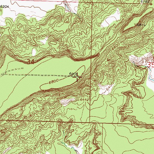 Topographic Map of Woods Mesa, NM