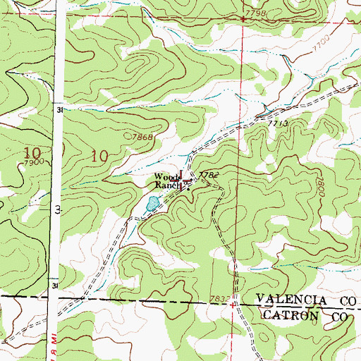 Topographic Map of Woods Ranch, NM