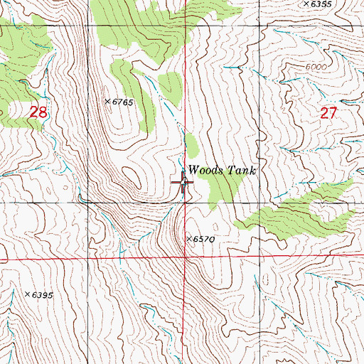 Topographic Map of Woods Tank, NM
