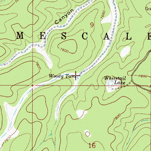 Topographic Map of Woody Tank, NM