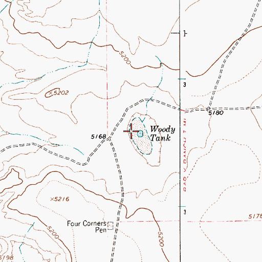 Topographic Map of Woody Tank, NM