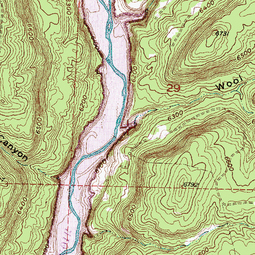 Topographic Map of Wool Canyon, NM