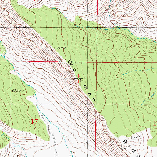 Topographic Map of Workman Ridge, NM