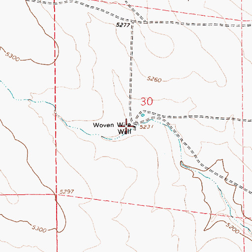 Topographic Map of Woven Wire Well, NM