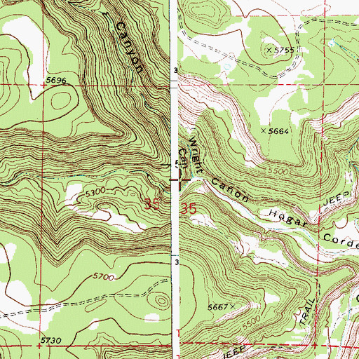 Topographic Map of Wright Canyon, NM