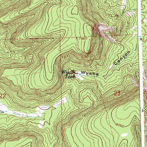 Topographic Map of Wyche Tank, NM